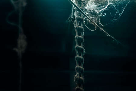 Creepy chain in cobwebsの写真素材