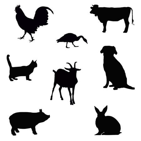 collection of farm animal silhouettes isolated on whiteの写真素材
