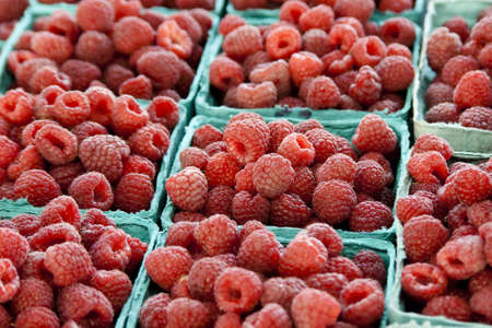 numerous containers of raspberries at a local farmers market