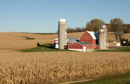 A red barn and silos on a Wisconsin farm surrounded by ripe corn fields.の写真素材