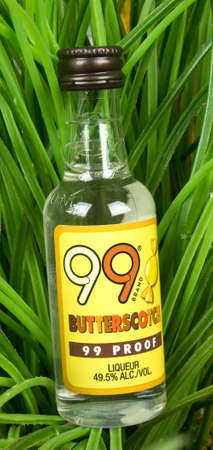 RIVER FALLS,WISCONSIN-AUGUST 08,2017: A bottle of butterscotch flavored liqueur against a greenery background.のeditorial素材