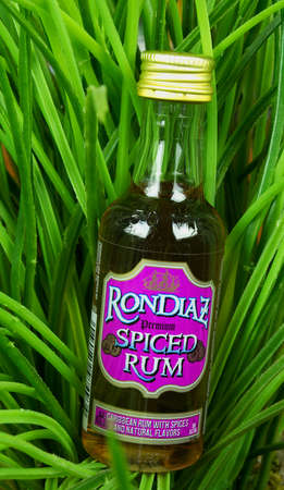 RIVER FALLS,WISCONSIN-AUGUST 20,2017: A bottle of RonDiaz brand spiced rum with a greenery background.のeditorial素材