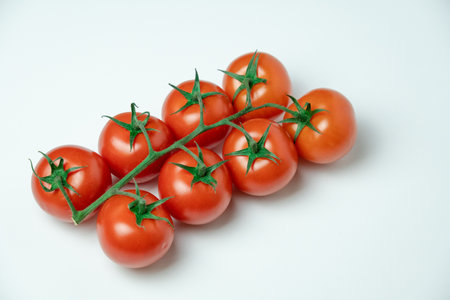 Red tomatoes on branch on a white backgroundの写真素材