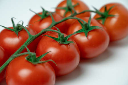 Red tomatoes on branch on a white backgroundの写真素材