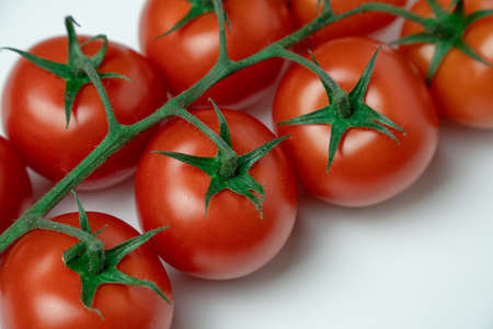 Red tomatoes on branch on a white backgroundの写真素材