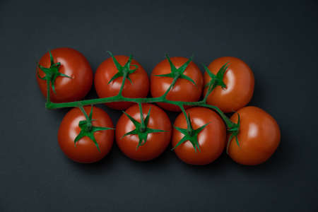 Red tomatoes on branch on a black backgroundの写真素材