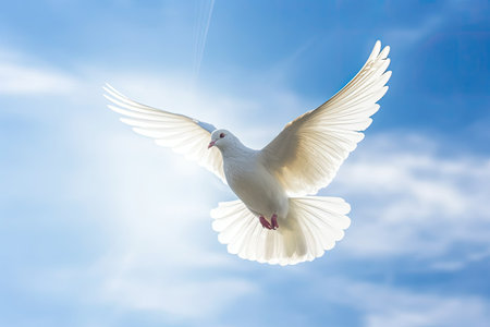Flying white dove on blue sky background. Freedom and peace concept.の素材