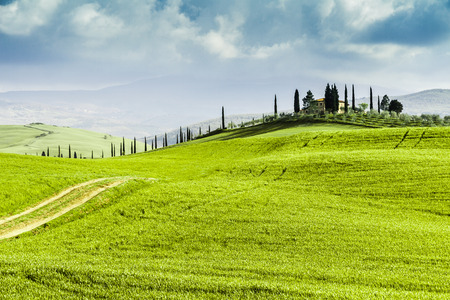 country house and road flanked with cypresses ascending a hill in Tuscanyの写真素材