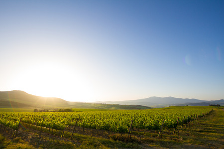 country near San Quirico d'Orcia in Tuscany, Italyのeditorial素材