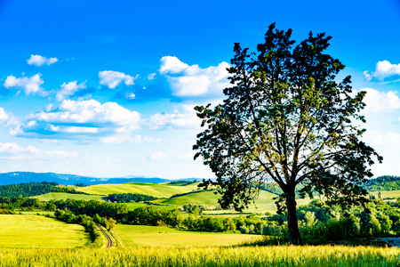 Railway in Crete Senesy near Siena, Tuscanyの写真素材