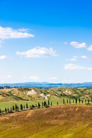 Road and cypresses on a hill near Asciano in Crete Senesi, Tuscany, Italyの写真素材