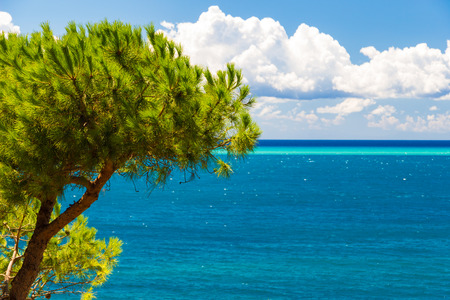 Tropical-like sea and sky in Italy in summerの写真素材
