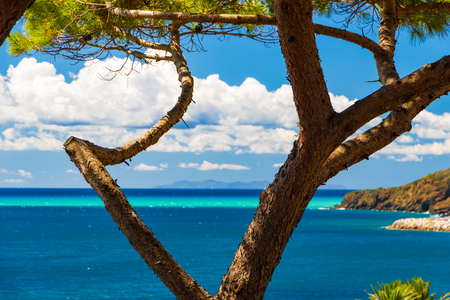 Tropical-like sea and sky in Italy in summerの写真素材
