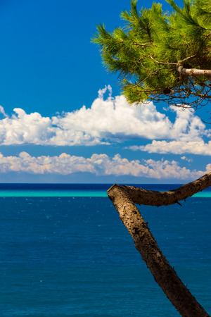 Tropical-like sea and sky in Italy in summerの写真素材
