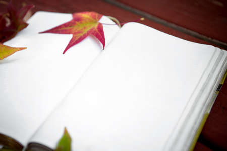 Red fall background with copy space and leaves.の写真素材