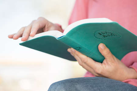 Portrait of a woman reading.