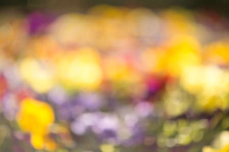 Pastel background with copy space.の写真素材