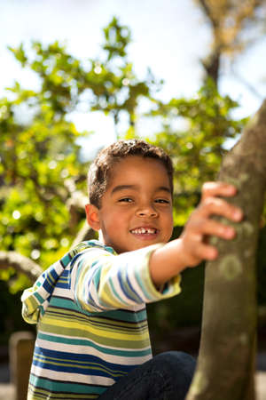 Little boy playing in a tree.の写真素材