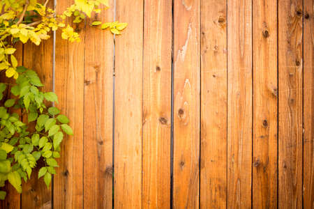 Wood fence with leavesの写真素材