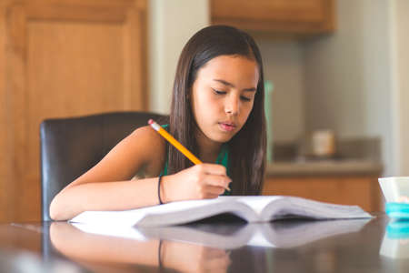 Young Girl Sitting At A Desk And Working On Her Homework