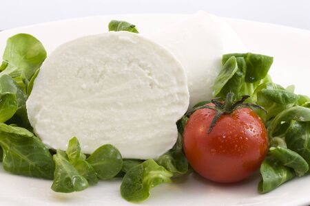 photo of a fresh mozzarella bufala and saladの写真素材