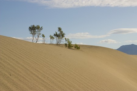Fantastic sand dunes into the Death Valley, Californiaの写真素材
