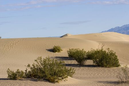 Fantastic sand dunes into the Death Valley, Californiaの写真素材