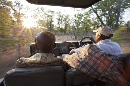 Africa, driving a jeep for a game safari in the wildernessのeditorial素材