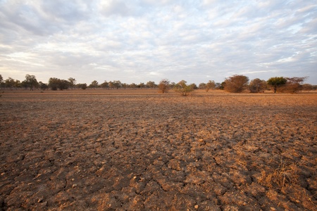 Beautiful african sunset with an endless skyの写真素材