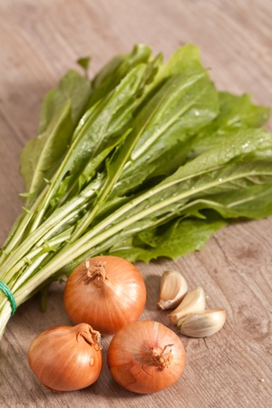 Fresh raw chicory on wooden backgroundの写真素材