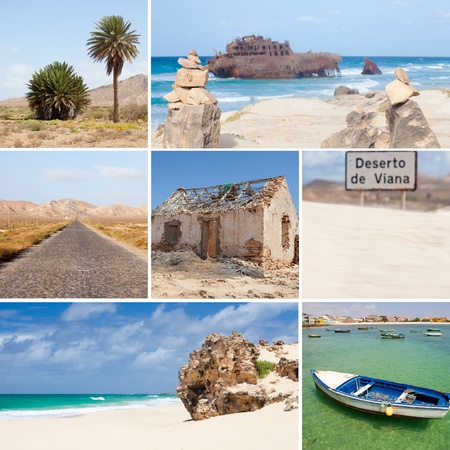 collage photo composition of famous Boavista island of Cape Vertの写真素材
