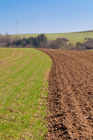Field in the countryside half desert and grass