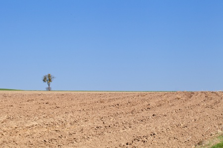 Drought field landscape in the countryside