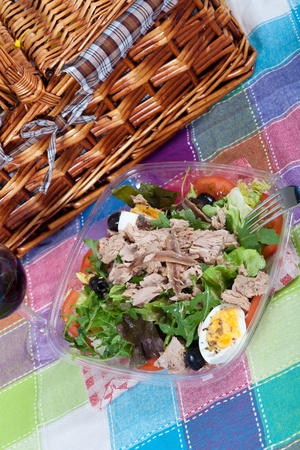 Fresh salad with tuna fish, anchovies and eggsの写真素材