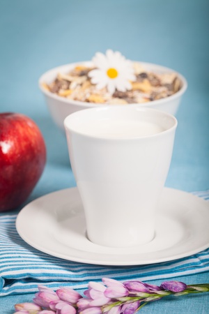 Healthy nutrition with fresh milk and a red apple
の写真素材