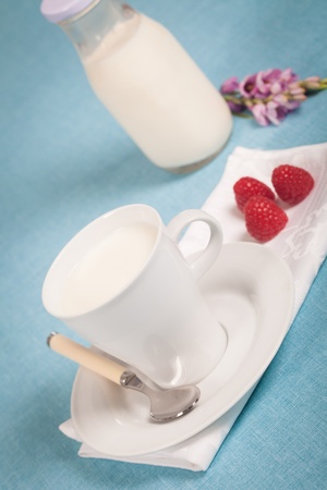 Healthy nutrition with fresh milk in a white cup
の写真素材