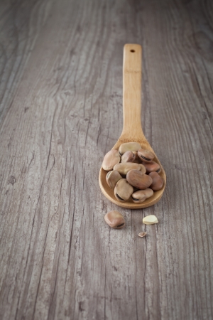 Bunch of fresh raw broad beans on a wooden spoonの写真素材