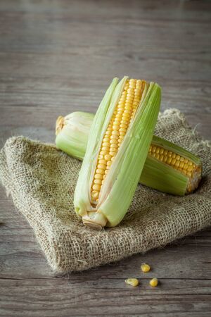 Assortment of fresh corn on wood backgroundの写真素材