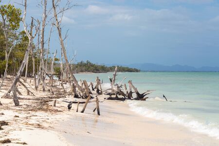 The beautiful white sand beach of Cayo Levisa, Cubaの写真素材