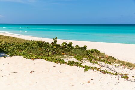 Spectacular view on the famous Varadero sand beach in Cubaの写真素材