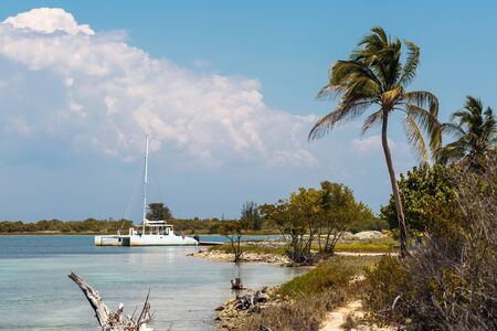 The beautiful and relaxing  island of Cayo Blanco in Cubaの写真素材