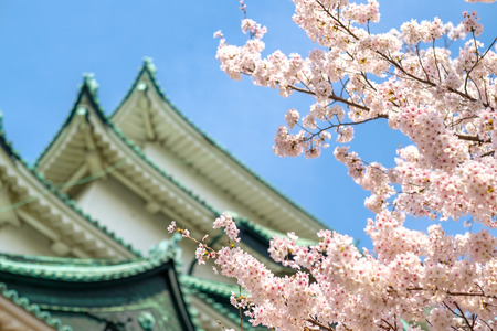 The beautiful site of Nagoya castle in Japanのeditorial素材