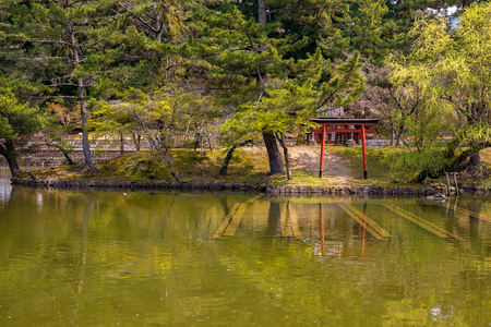 The beautiful park of Nara, the ancient first capital of Japanの写真素材