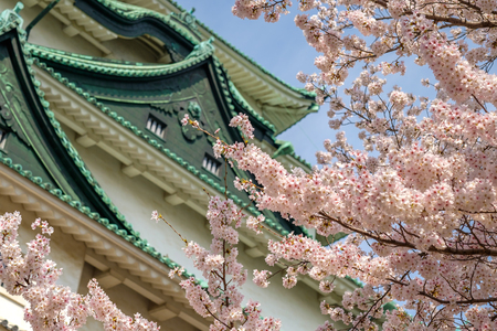 The beautiful site of Nagoya castle in Japanのeditorial素材
