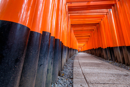The beautiful site of Fushimi Inari within the famous tunnel of thousands Toriiのeditorial素材