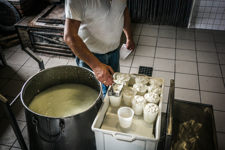 Reportage on the making of ricotta cheese in a farm in Siclyの写真素材