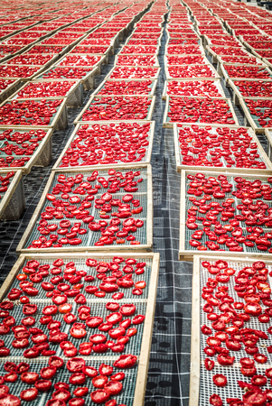 Delicious Pachino tomatoes drying at the sun in a huge production in Sicly