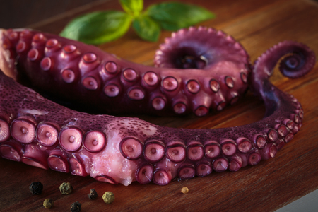 Delicious cooked octopus tentacles on a chopping boardの写真素材