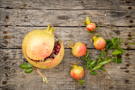 Cute small pomegranate on wooden backgroundの写真素材