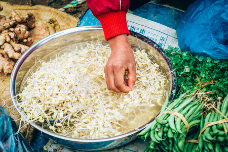 Fresh bean sprouts on sale at the Can Cau market in Vietnamの写真素材